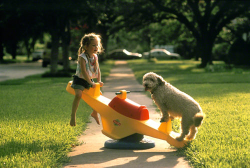 Fifty cents for Aylie, a steak bone for Lucy