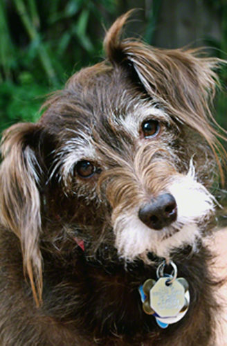 Make a weird noise to bring out Gertie's personality.