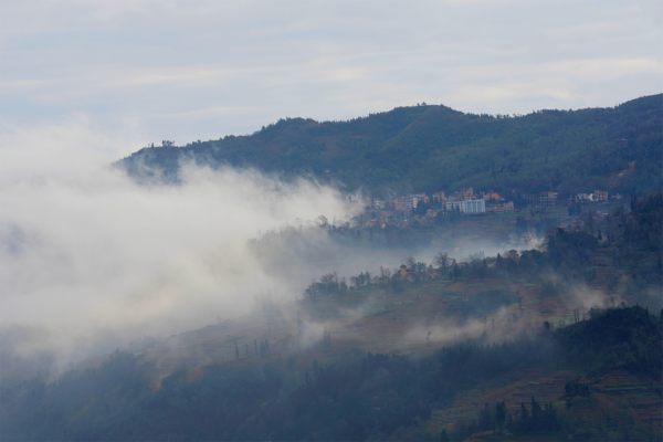 Screen Shot 2018-02-14 at 11.54.48 AM